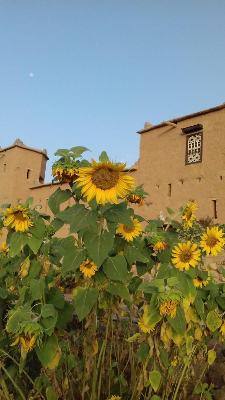 Kasbah Izoran Hotel Midelt Exterior photo