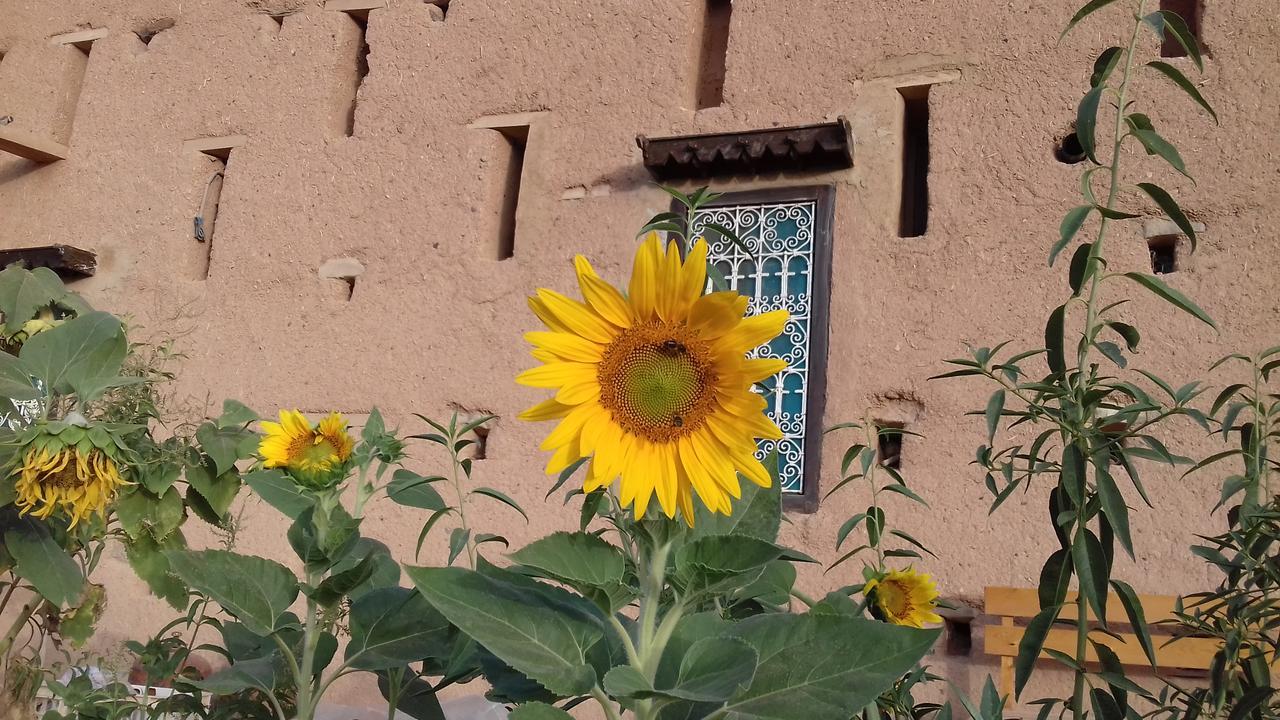 Kasbah Izoran Hotel Midelt Exterior photo