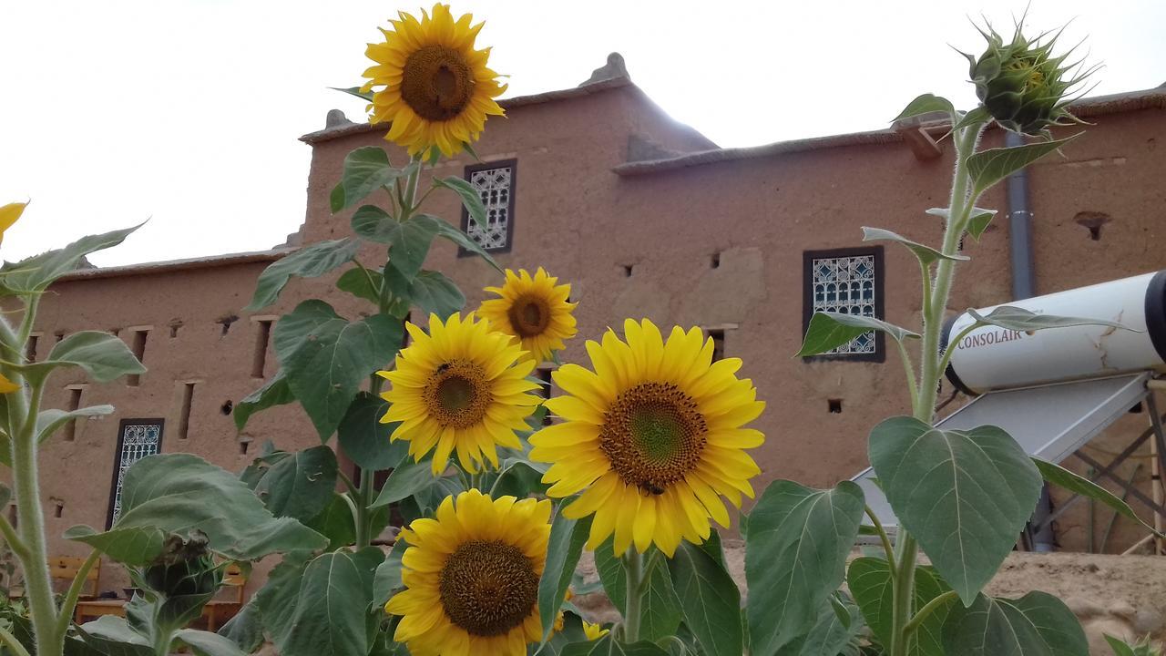 Kasbah Izoran Hotel Midelt Exterior photo